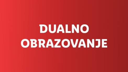 Dualno obrazovanje